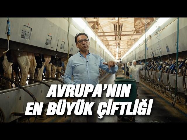 Günde 210 Ton Süt  |  Toplam Büyüklüğü 24 Bin Dönüm