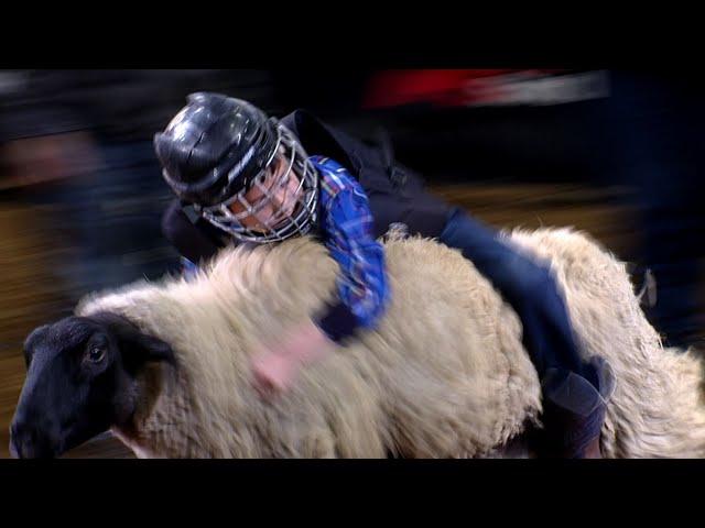 Mutton Bustin' highlights | San Antonio Rodeo | Feb. 25, 2022