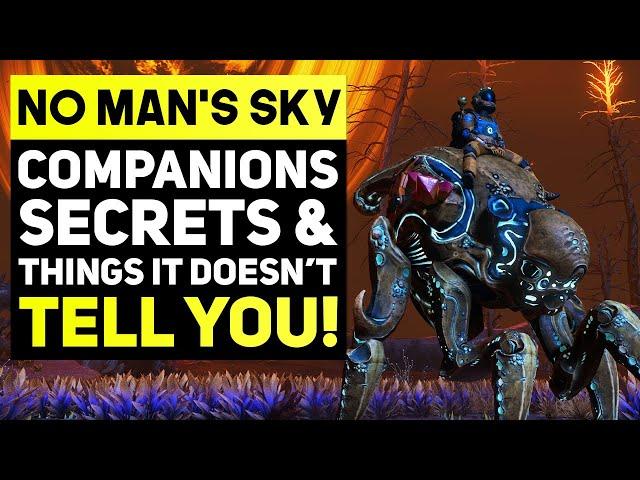 No Man's Sky Companions Update - Secrets and Things It Doesn't Tell You! (No Mans Sky Tips & Tricks)