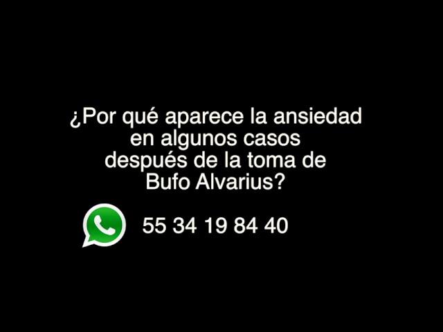 Así superé la ansiedad post Bufo? 5-meO-DMT & Mario Garnier.