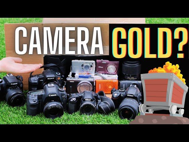 Did I hit the GOLDMINE with this $1k Camera Buy?