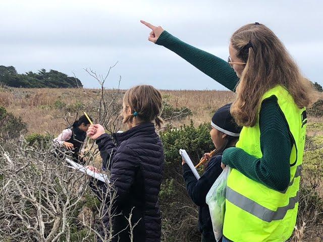 Scientific observation- Junior Land Stewards Virtual Environmental Science Program (Session 1)