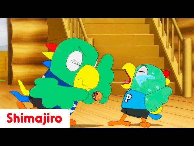 Being a big brother is tough! | Full Episode #59 | Shimajiro