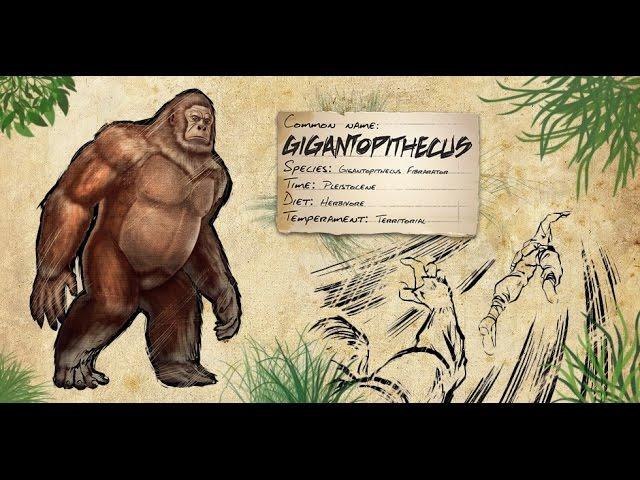 ARK: Survival Evolved. Как приручить гигантопитека (Gigantopithecus).