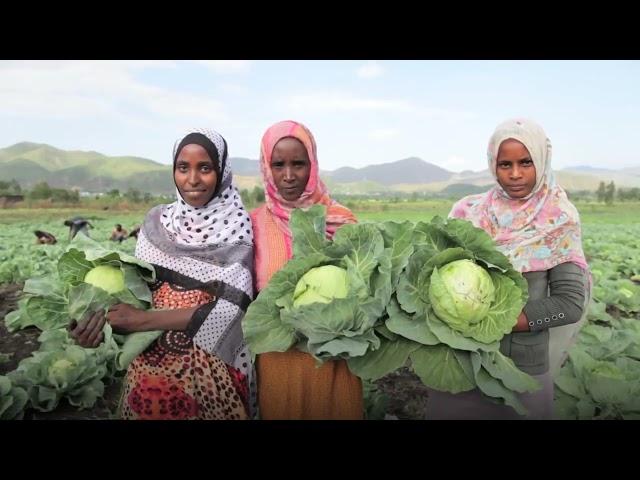 State of Food Security and Nutrition in the World 2023