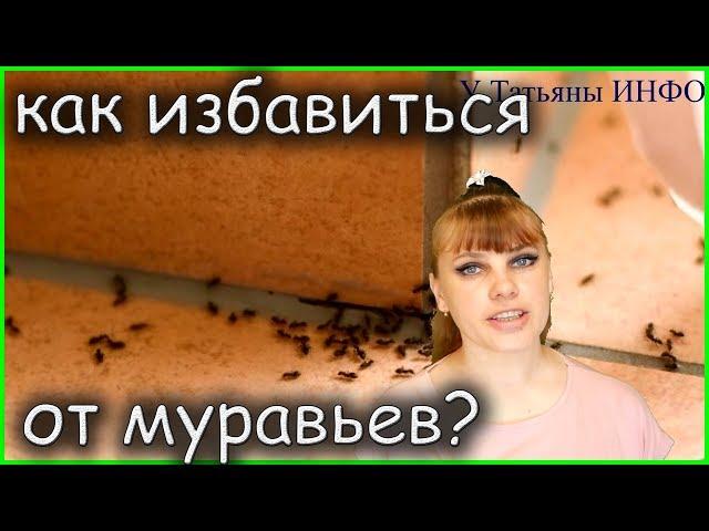 Как избавиться от муравьев в доме или квартире?!