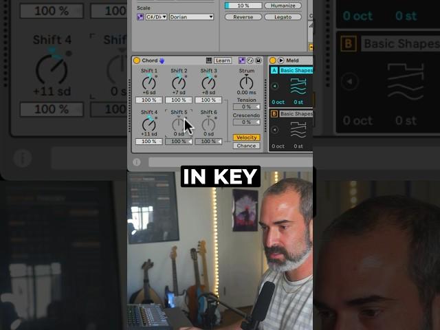 New Chord Effect in Ableton Live 12 is crazy! #ableton12 #chords #musicproduction #ableton