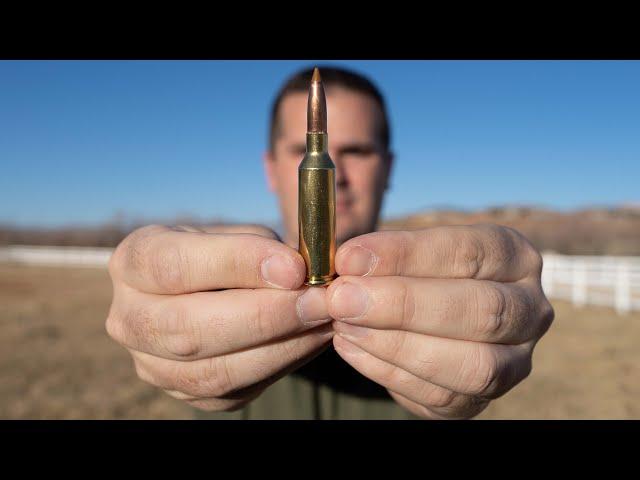 6.5 Caliber Cartridges: Creedmoor vs PRC vs Weatherby vs Nosler