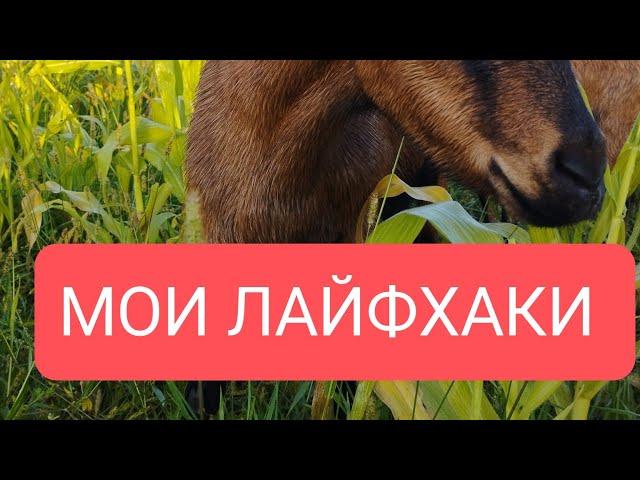 МОИ ЛАЙФХАКИ ДЛЯ ХОЗЯЙСТВА