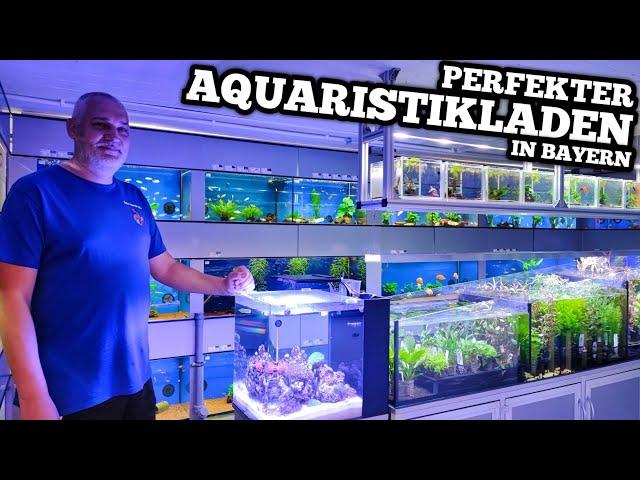 KOMPETENTE BERATUNG & TOP FISCHE | Grübers Aquaristik Keller