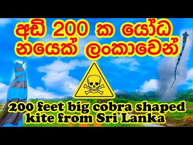 Cobra shaped kite (200 feet , 15 Hours work) අඩි 200 දිග නයි හැඩති සරුංගලයක්