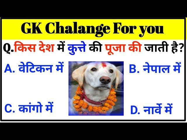 Top 15 interesting gk | GK Questions | gk | gk In Hindi | GK Hindi Bittu