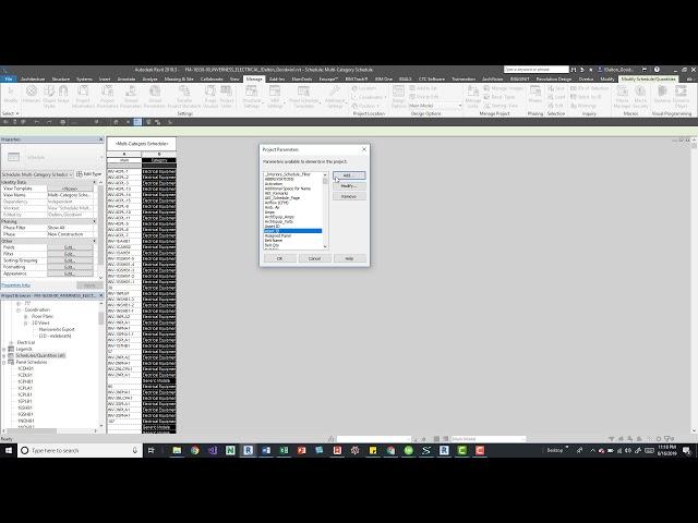 Revit Duplicate Project Parameters