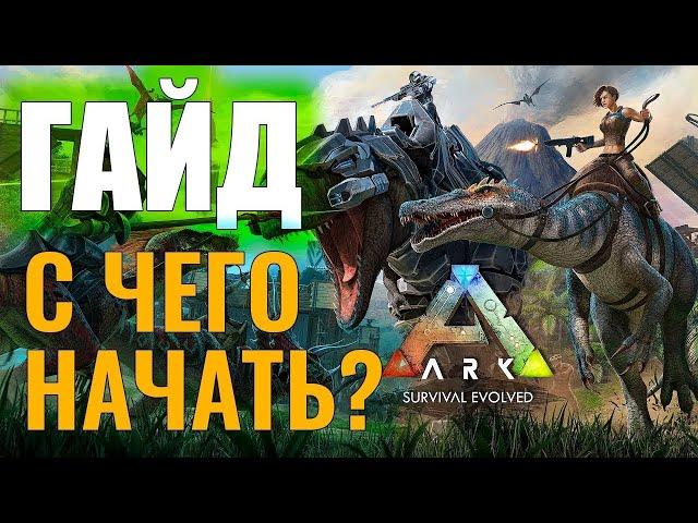 ARK Гайд: что выбрать новичку PVP или PVE?