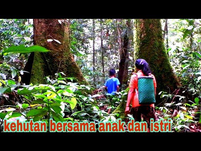 KE HUTAN BERSAMA ISTRI DAN ANAK , BERBURU IKAN