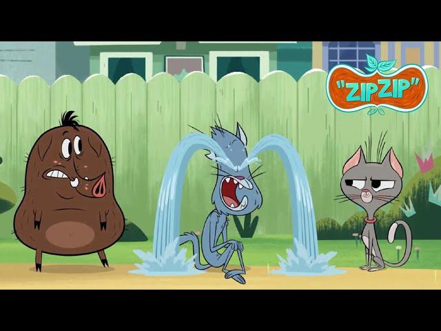 Fang has a heartbreak | Zip Zip English | Full Episodes | 3H | S1 | Cartoon for kids