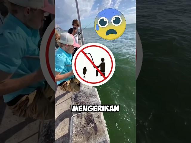 Kamu tidak akan percaya jika tidak melihat ini !!