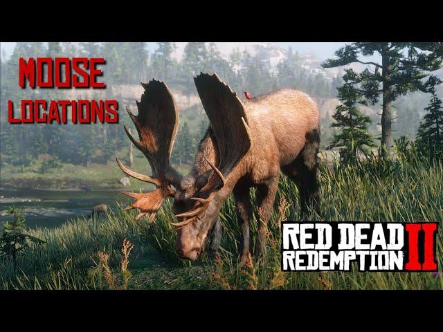 RDR2 Moose Locations + Tips for Perfect Moose Pelt