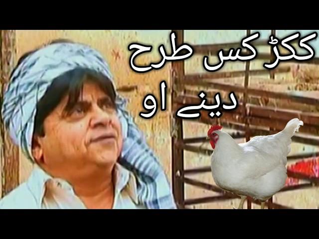 pothwari Drama Funny clip kukar ks thrah deny o