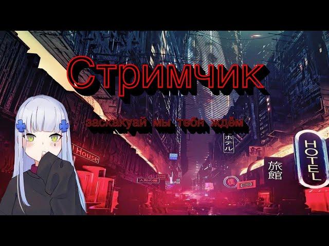 Пажилой стримчик Black Desrt Online