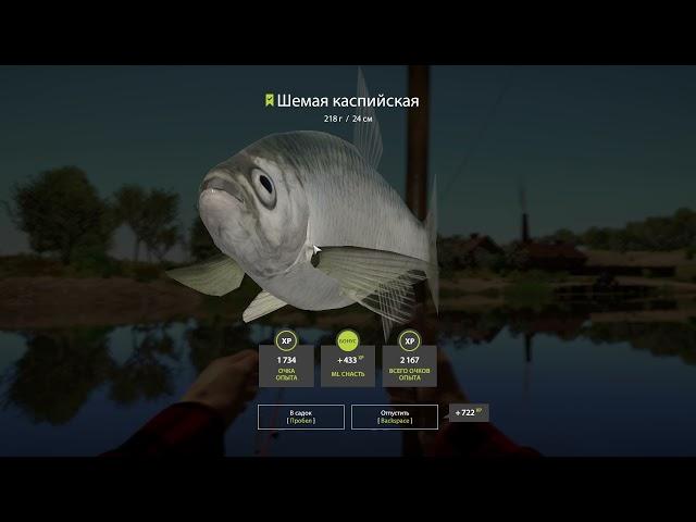 Русская рыбалка 4 / Russian fishing 4 Река Ахтуба - Пузанок и остальная селедка .