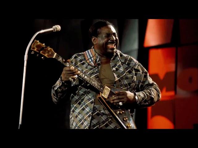 Albert King Live at Blues Alley, Washington, D.C. - 1980 (late show, audio only)