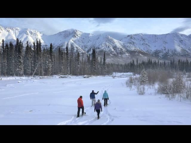 Winter in Yukon