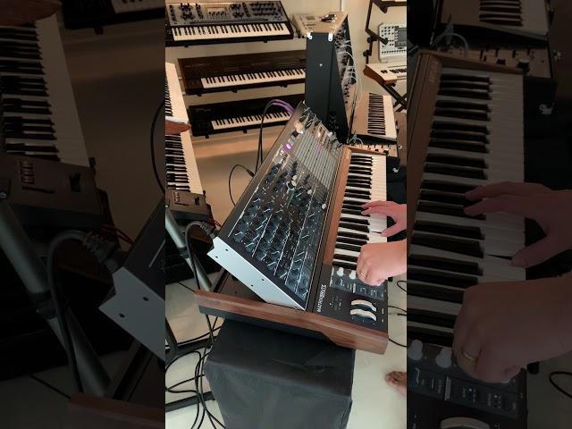 Matrixbrute , Steiner-Parker filter and a ladder filter