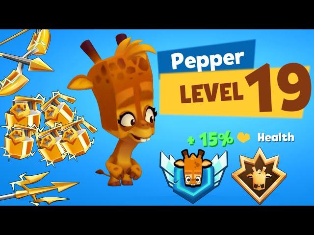 *Level 19 Pepper* is Unstoppable | Zooba