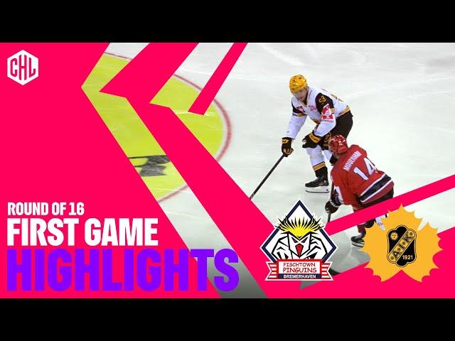 Highlights | Pinguins Bremerhaven vs Skellefteå AIK