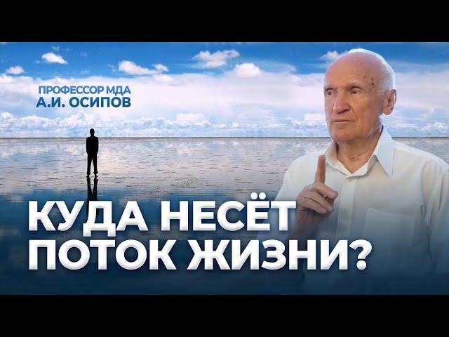 Куда несёт поток жизни? / А.И. Осипов