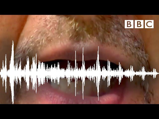 Try this bizarre audio illusion! ️ - BBC