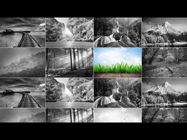 Image Grayscale and Zoom effect on hover using CSS