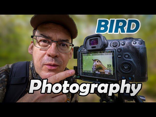 HOW TO PHOTOGRAPH SMALL BIRDS:  PHOTOGRAPHY top pro tips (using my Canon R5)