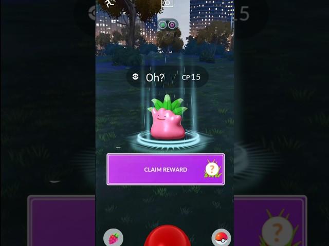 Ditto field research? #shorts #oh #research #reward #catch #ditto #ultragoo #pokemongo #rare