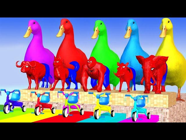 Long Slide Game With Elephant Gorilla Buffalo Hippopotamus Tiger 3d Animal Game Funny 3d Animals