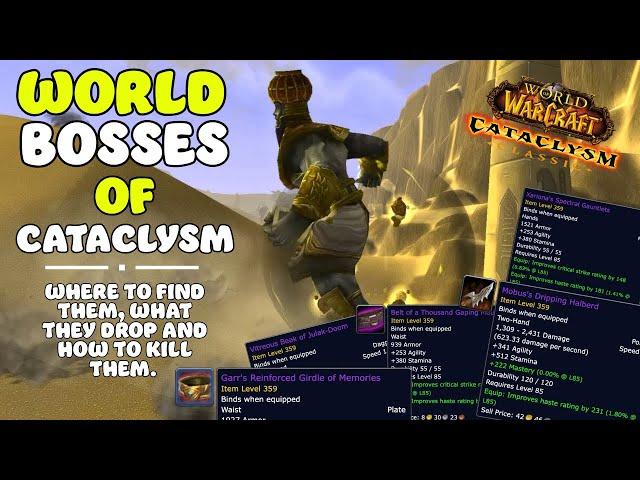 The 5 bosses of Cataclysm that drop PRE RAID BIS | Cataclysm Classic