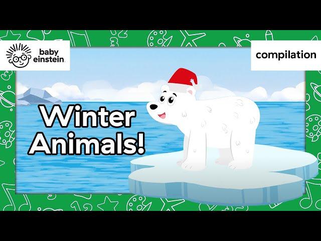 Winter Animals! | Baby Einstein | Learning Show for Toddlers | Kids Cartoons