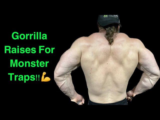 Gorilla Raises For Monster Traps!!