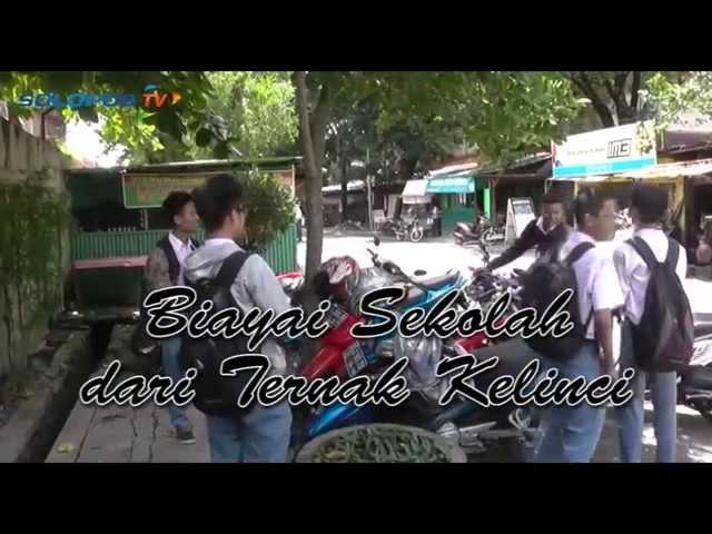 Biayai Sekolah dari Ternak Kelinci (Part 1)