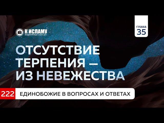 Вопрос 222. Отсутствие терпения из невежества. Единобожие в вопросах и ответах. Ринат Абу Мухаммад