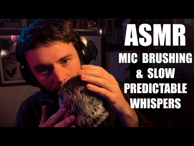 ASMR Fluffy Mic Brushing & Predictable Whispers - Slow and Gentle, Up Close Male Whispers, Blue Yeti