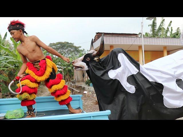 film pendek | GAWAT BANTENGAN SAPI MBEROT GALAK LEPAS!! satu kampung kabur semua [ Ngakak poll ]