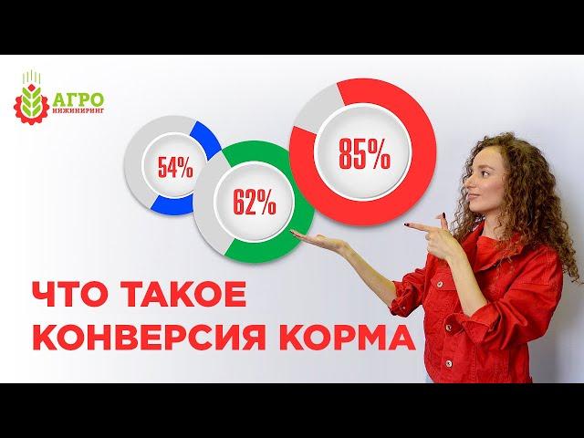 Что такое конверсия корма для сельскохозяйственных животных.