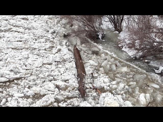 February 1, 2022 Ice Jam Release on Roaring Fork River in Basalt, CO