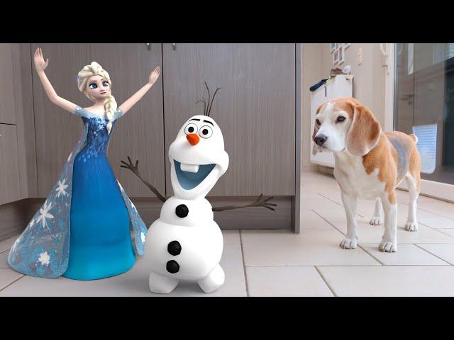 REAL LIFE Animated Olaf and Elsa : Unbelievable!