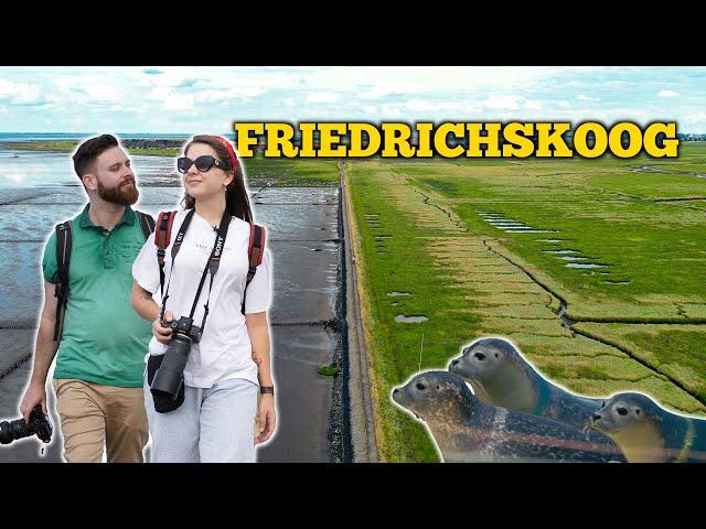 Friedrichskoog | Welcome to the West Coast of Germany
