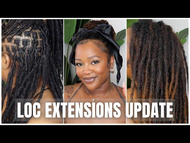 6 Month Loc Extensions Update :: Bleach, Budding + More