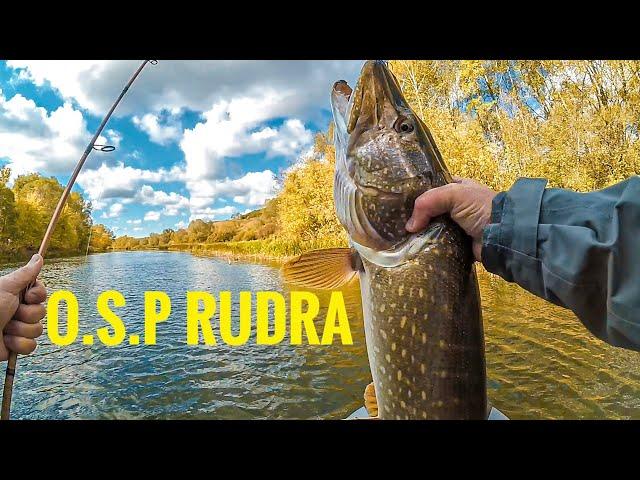 Лучший воблер для осенней щуки! O.S.P Rudra 130sp лучшая рыбалка на щуку 2019.