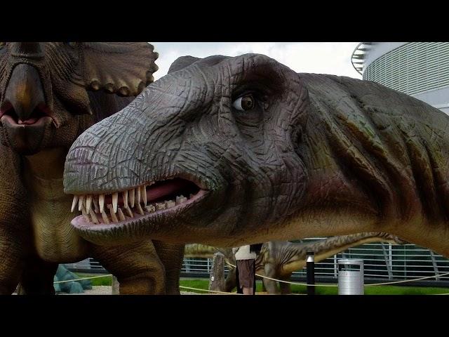 Dino-Mite Brontosaurus Facts That Kids Will Love